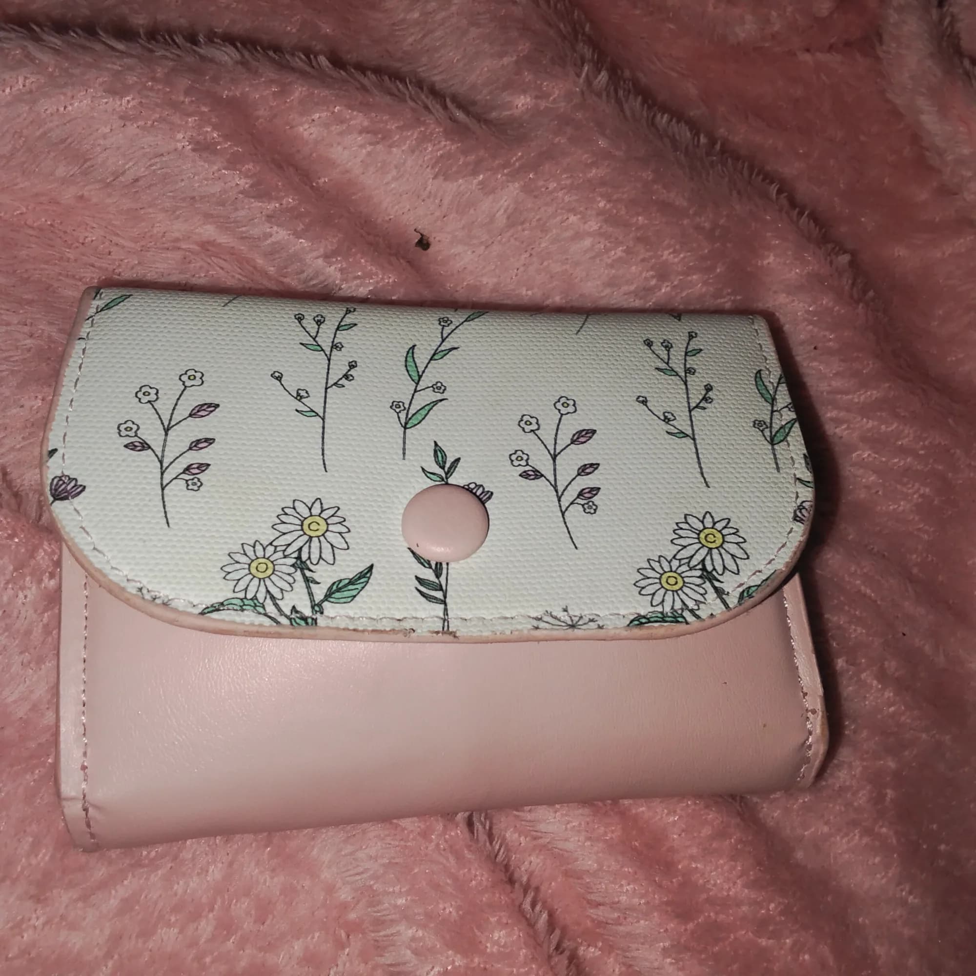 Buy 1 take 1 cutie wallet