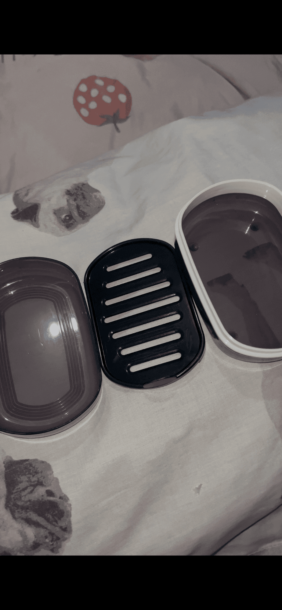 Soap case