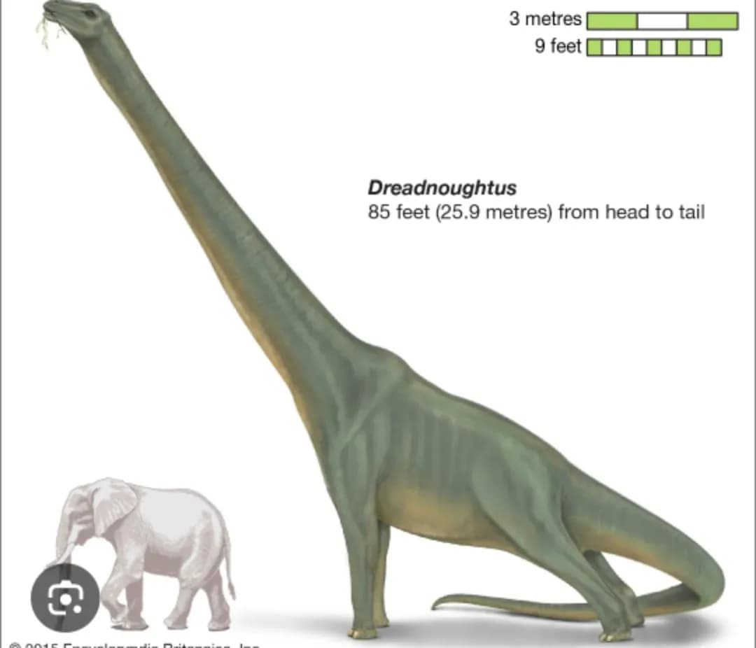Dino