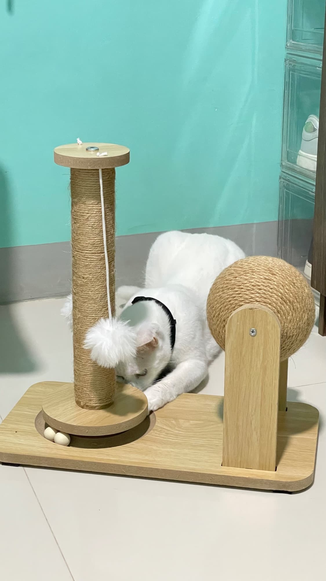 Multifunctional 4in1 sisal cat scratching!