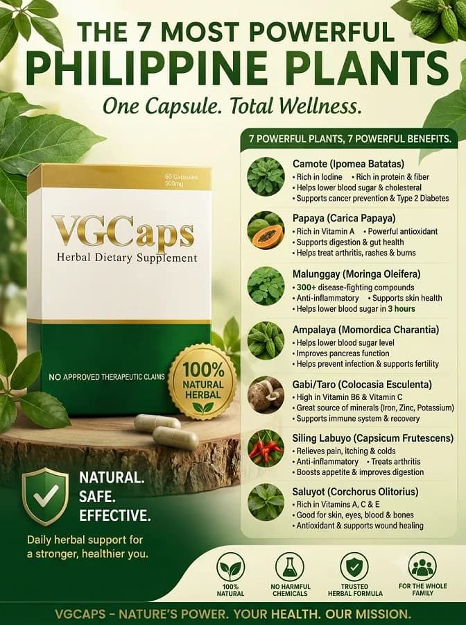 VGCaps is a comprehensive food supplement formula presented in a convenient capsule form. It features a synergistic combination of some of the Philippines' most nutritional plants, which are considered potent sources of multiple antioxidants, nutrients, and minerals. Every 500mg capsule contains a powerful blend of: - Moringa leaves - Bitter melon leaves - Corchurus olitorius leaves - Capsicum frutescens leaves - Purple Ipomoea batatas leaves - Taro leaves - Native papaya leaves