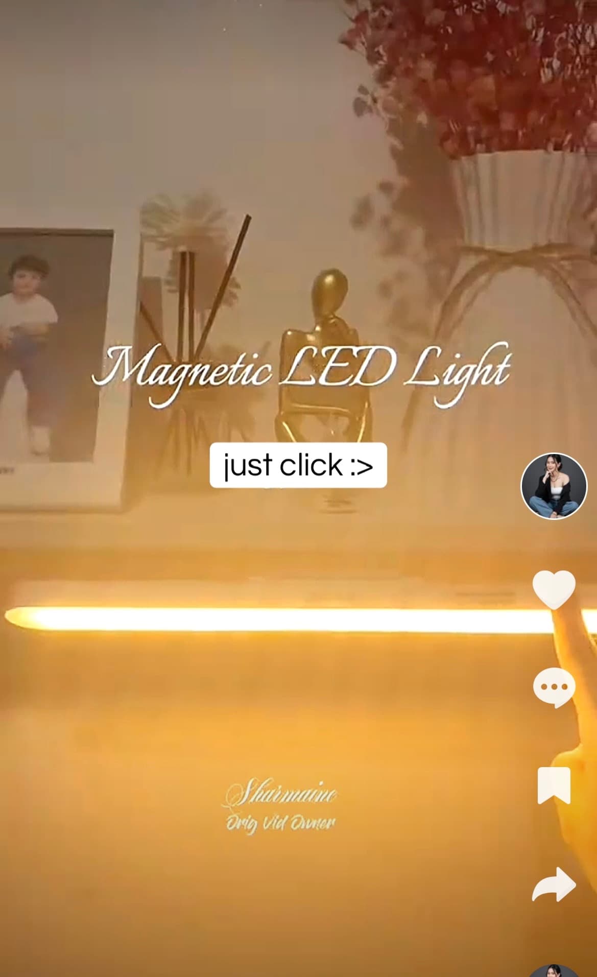 magnetic led light